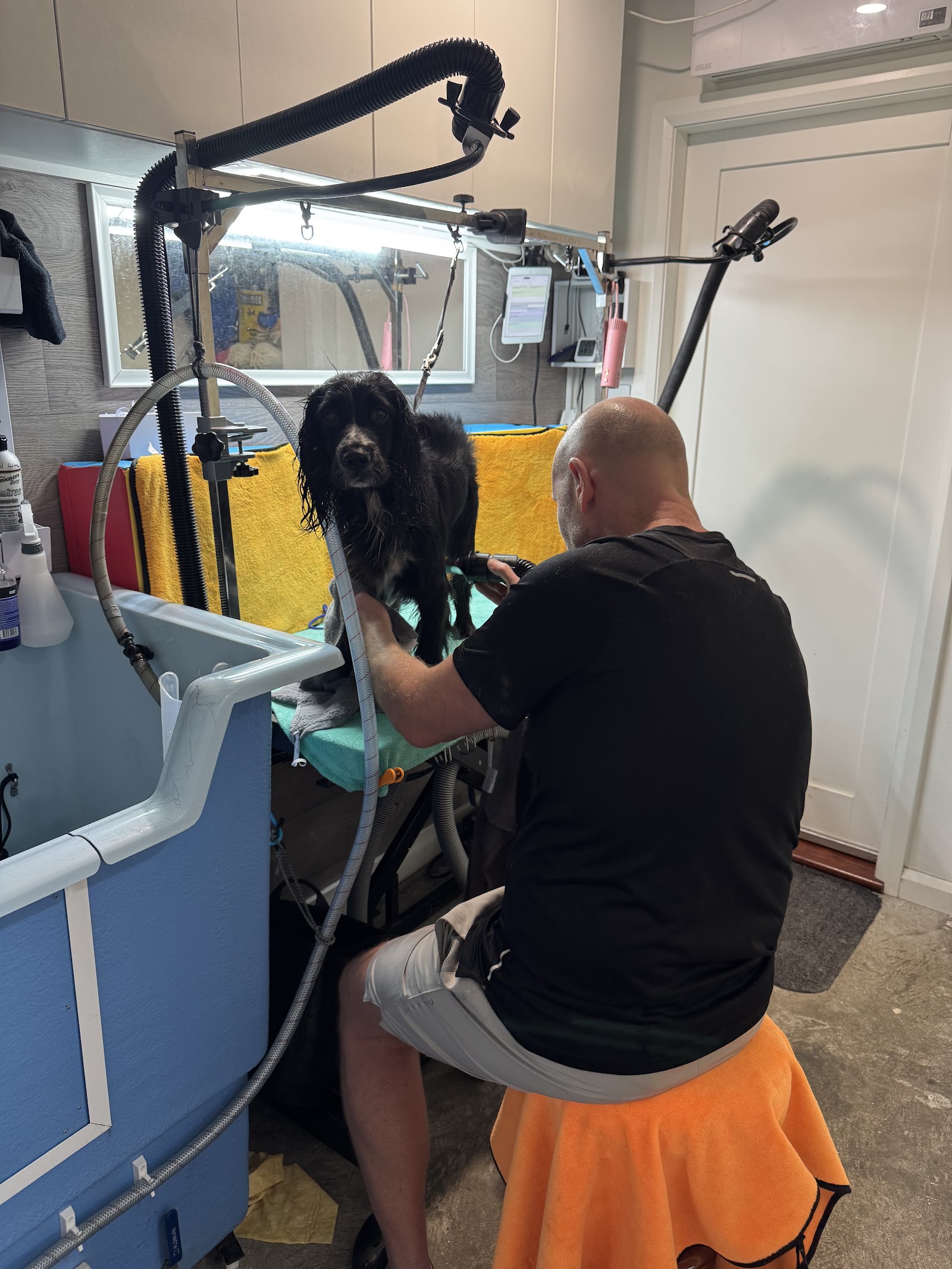 Dog grooming setup, Furry Friends Kotara